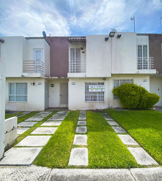 SEBASTOPOL I 17 5.jpg